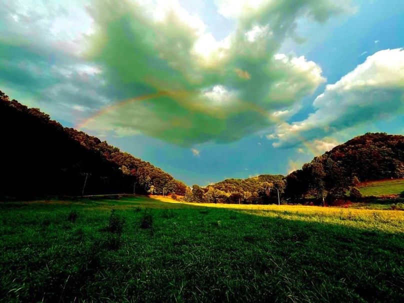 021 beautiful view along the creek bottom