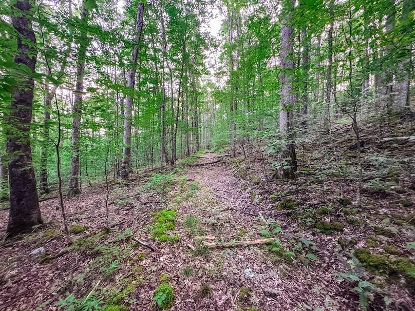 Webster, WV 42 AC Barger-22