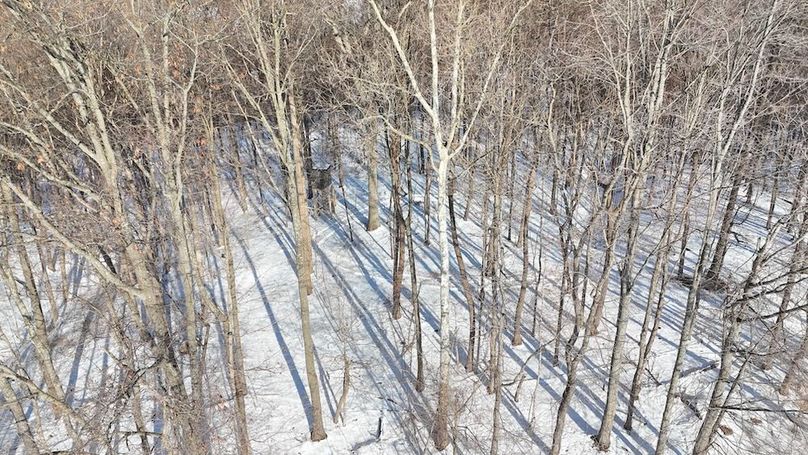 DJI_20260209101529_0040_D