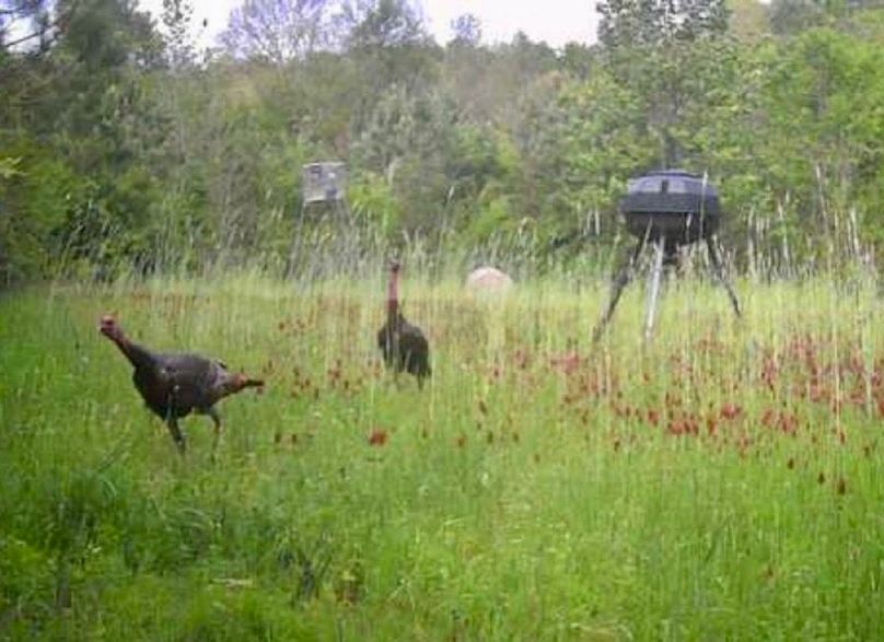 Screenshot 2026-04-09 at 7.23.21 AM