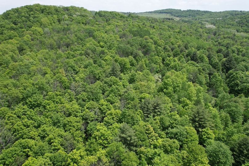 Tioga_78_Biada_Photos_8