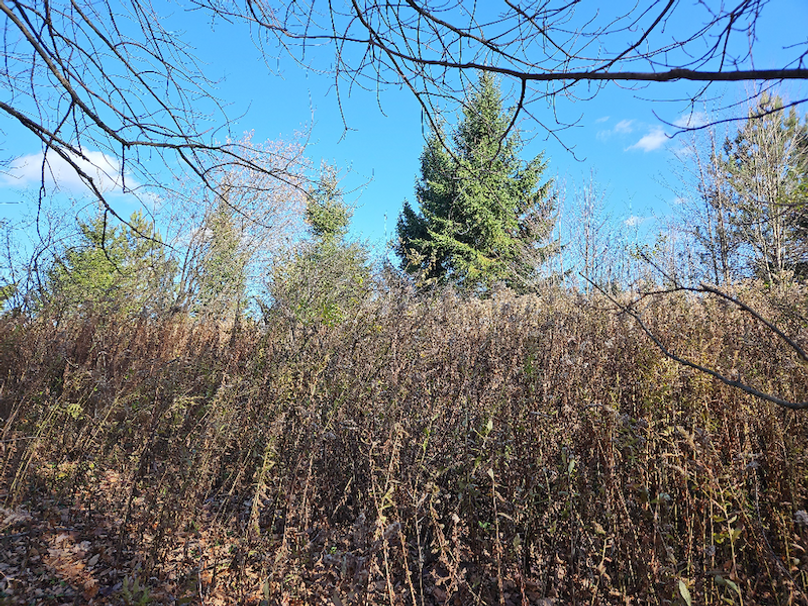 photo_27cdee64-0331-46e0-8910-2b898f238971