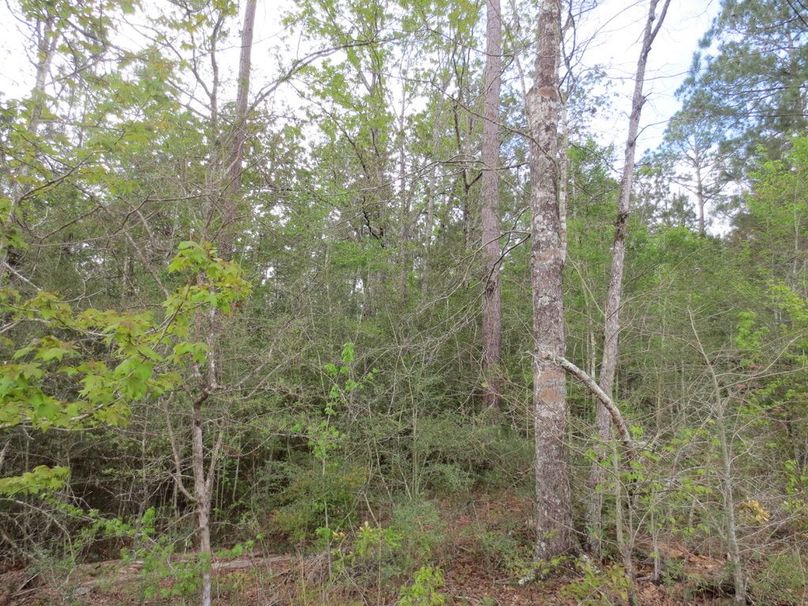 9D6795F3-A670-4701-8216-AFF5A3105777_1_105_c