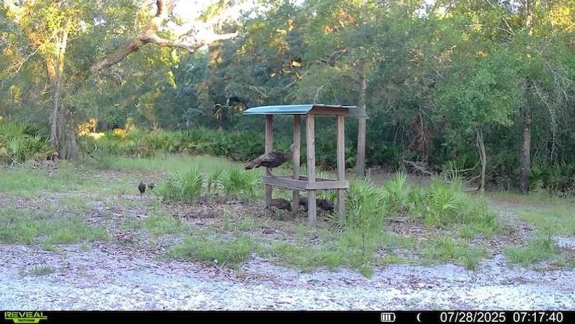 016579002709132-49-4-07282025071740-V-SYFW02057