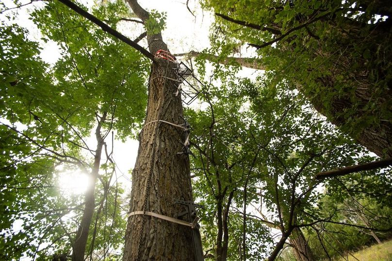 FREMONT CO IA 159.05_24