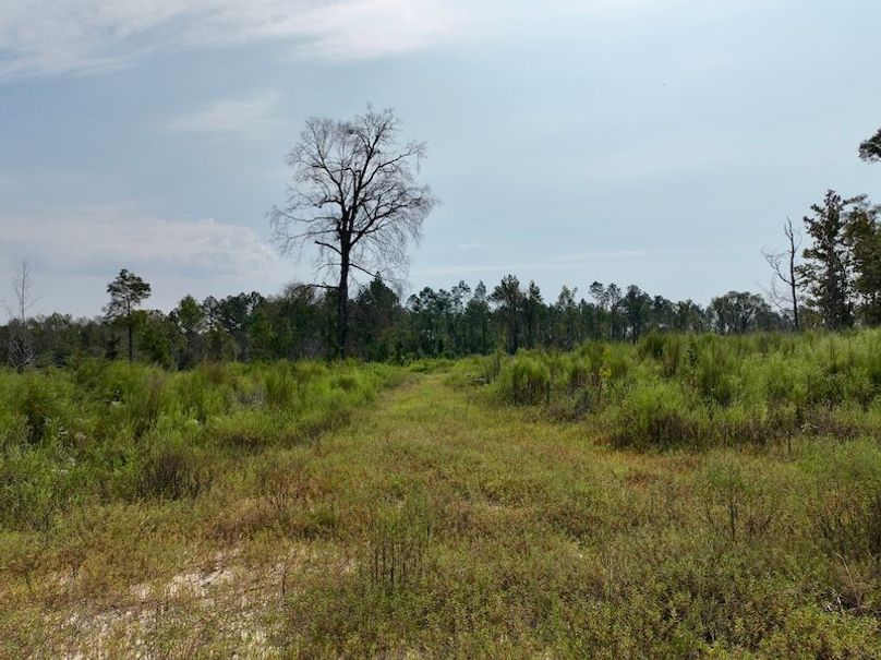 dji_fly_20250918_112610_197_1758209475202_photo