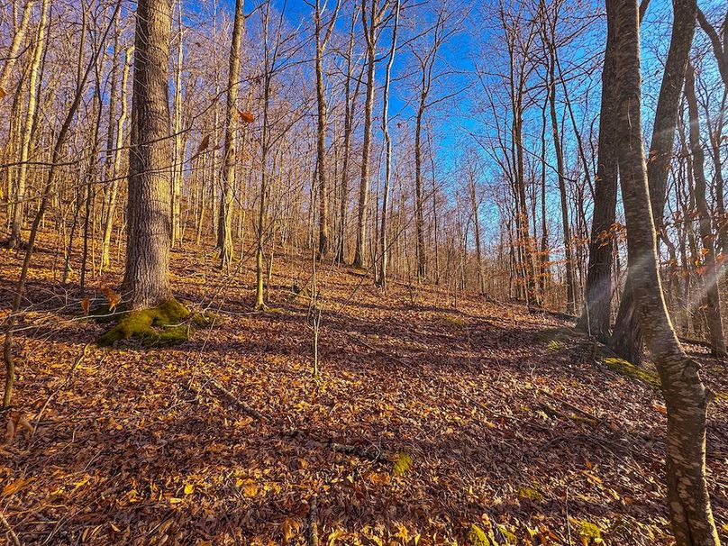 Lewis, WV 82.87 AC Barger-54