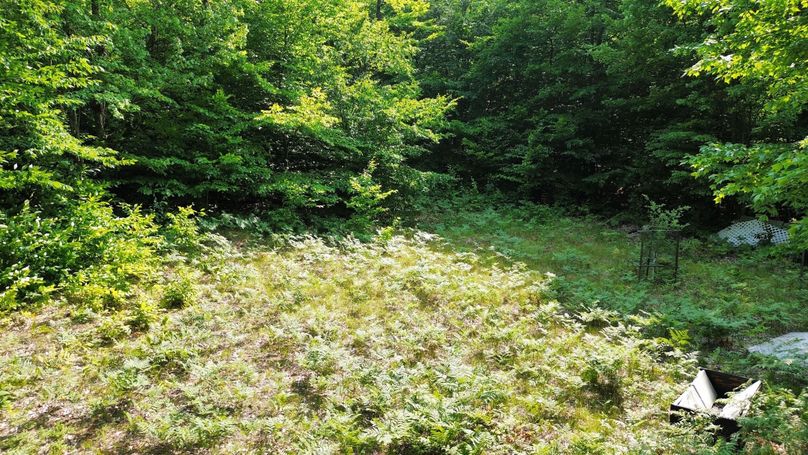 dji_fly_20230809_154846_194_1691610592292_photo_optimized