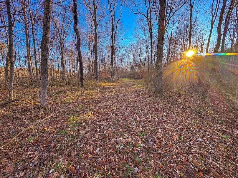 Pleasants_Wood 169.97 AC Cokeley-35