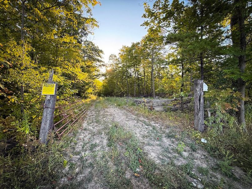 Copy of Wood Tract 1 Photo 8