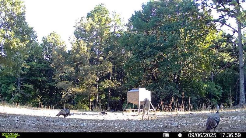 016578004181175-100-4-09062025173659-SYFW00047