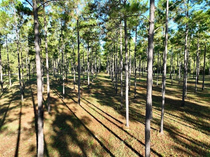 dji_fly_20251013_092326_248_1760364570322_photo