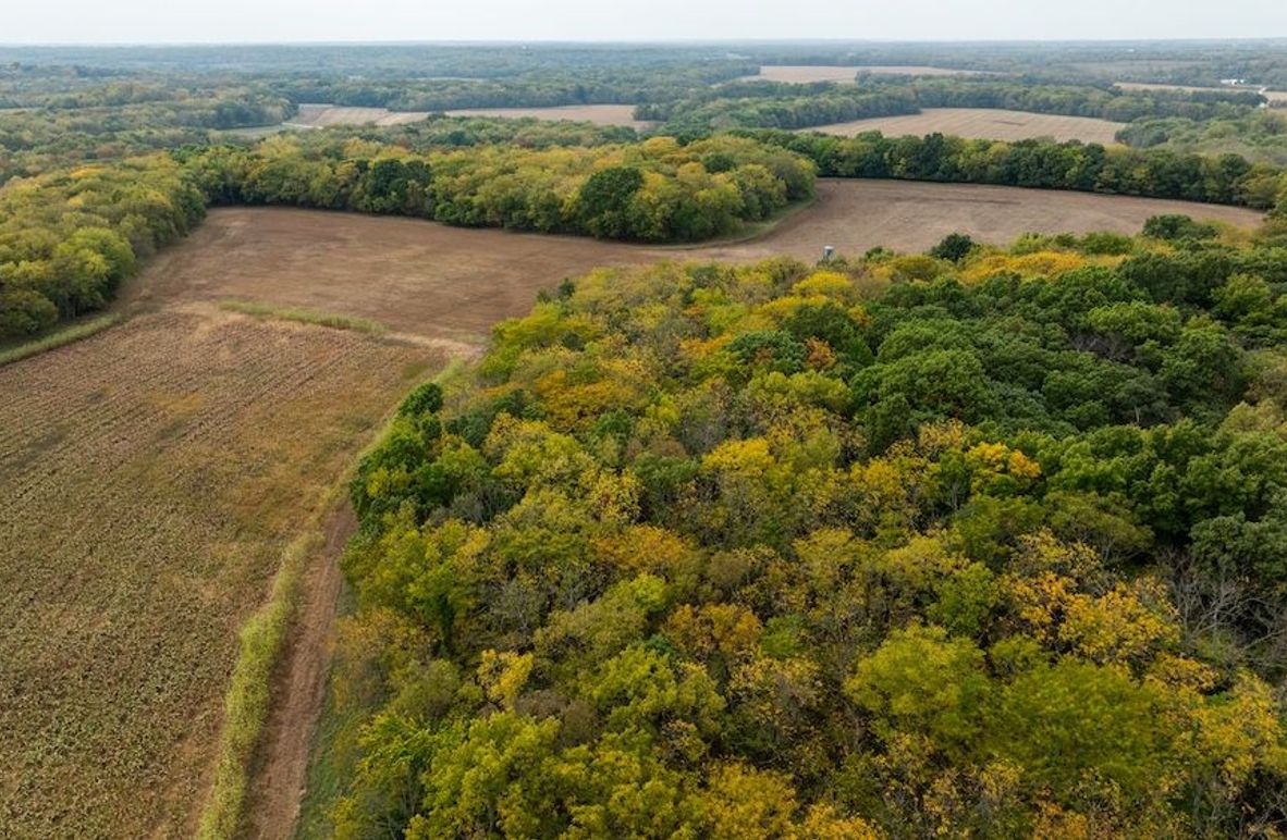 Brad Hand Osage 91--03