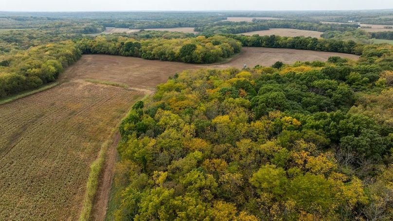 Brad Hand Osage 91--03