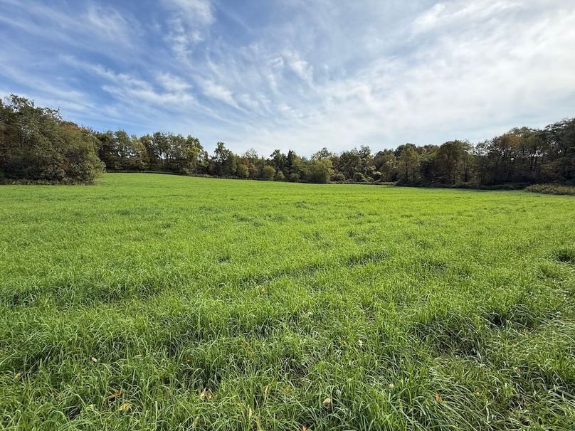 Cayuga_55.02_Herman Photo 35