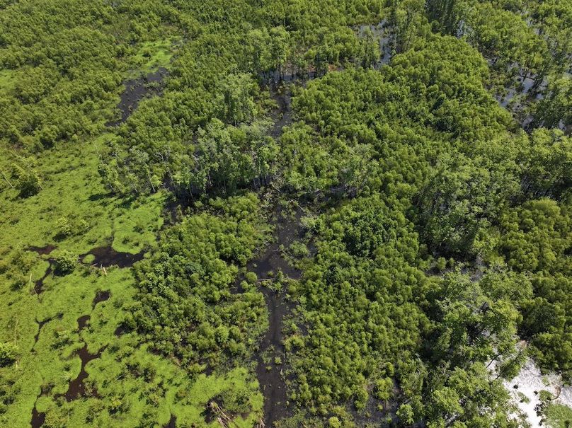 DJI_20250627103131_0118_D