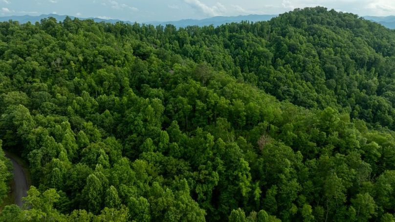 100 Featured_ProPhoto-91