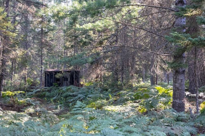 Mackinac 320 Copenhaver-85