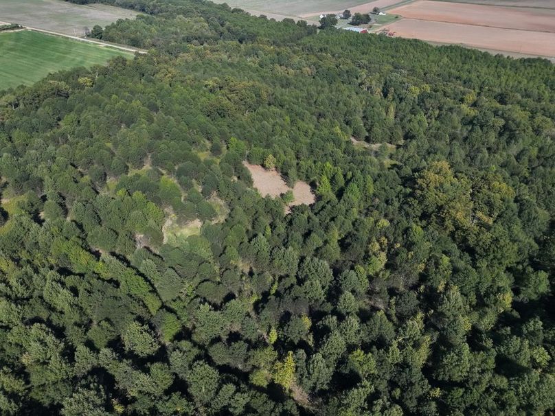 DJI_20251016150348_0034_V