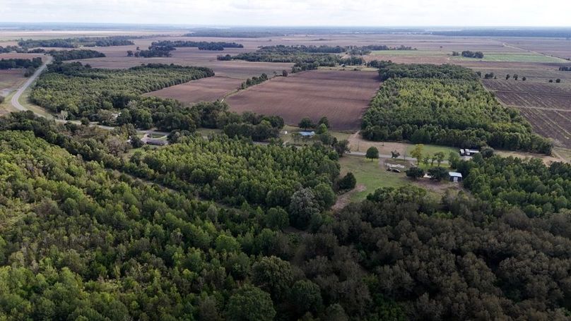 DJI_20251009043411_0778_D (1)