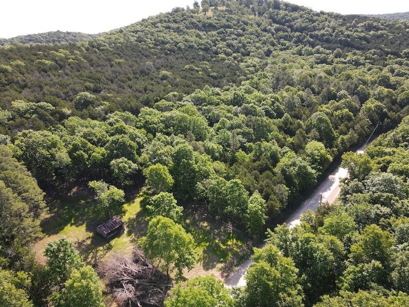 dji_fly_20260514_092412_759_1778768674224_photo