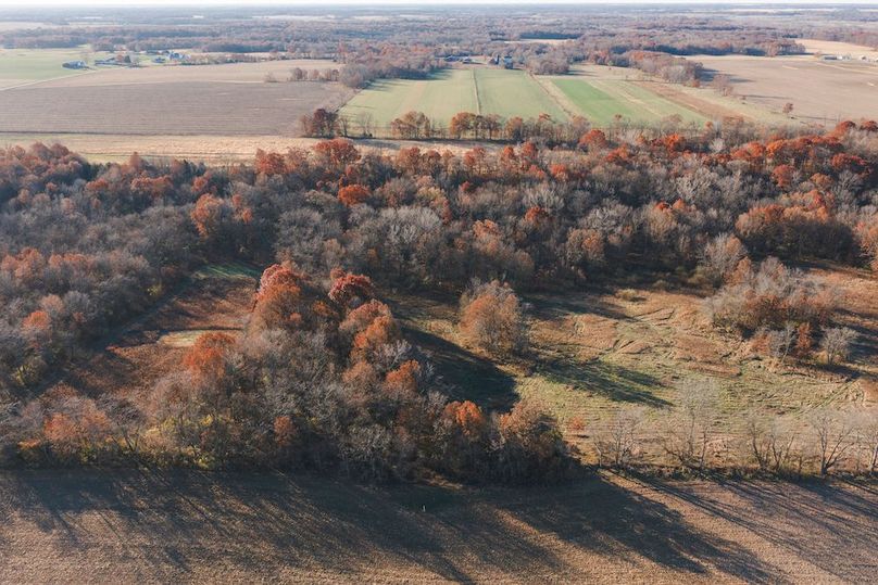 DJI_20251116082029_0084_D