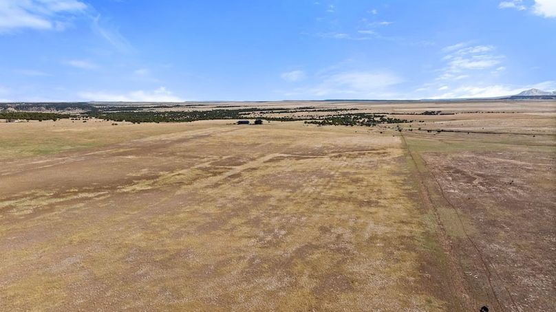 DJI_20250408163918_0028_D