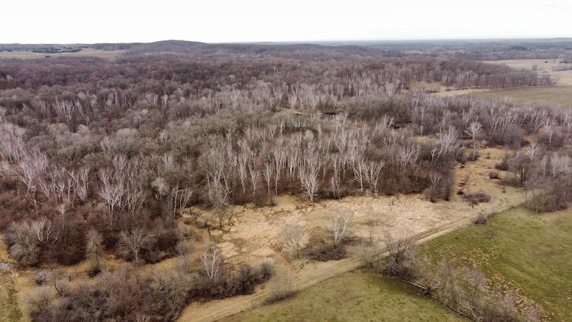 dji_fly_20240410_091516_318_1712758582178_photo_optimized