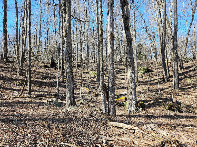 photo_9d22ff19-7a80-41e2-9609-73c4a3a26fd7