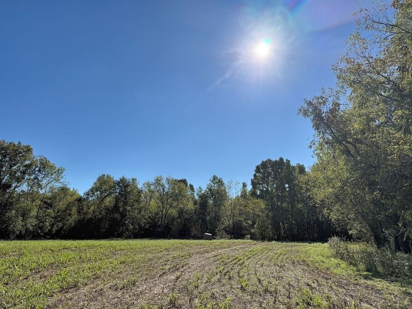 BC4F1F23-FC54-4FFF-AD3D-1B3770E7F820