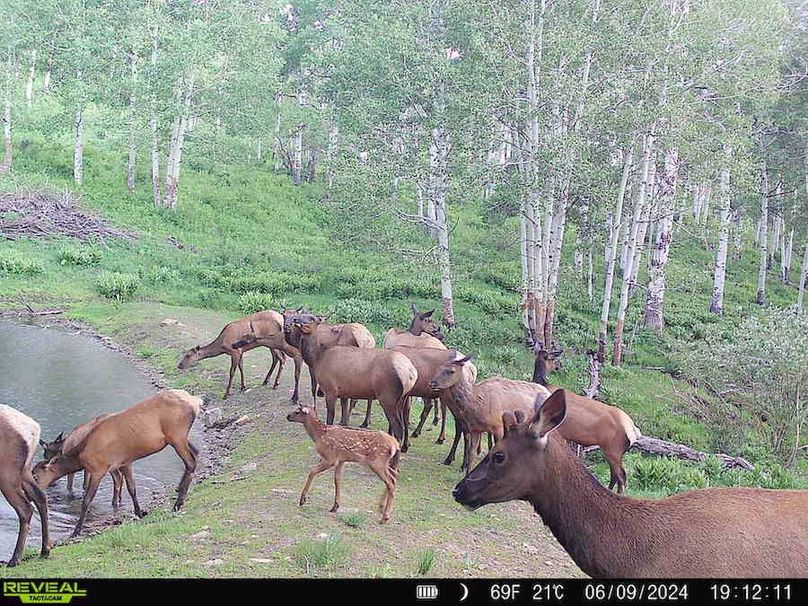 860322066796902-100-4-06102024090412-HD-SYFW1436