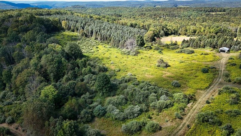 Tioga NY 232.62 Shores Photos 19