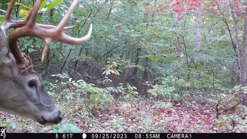 trail cam13