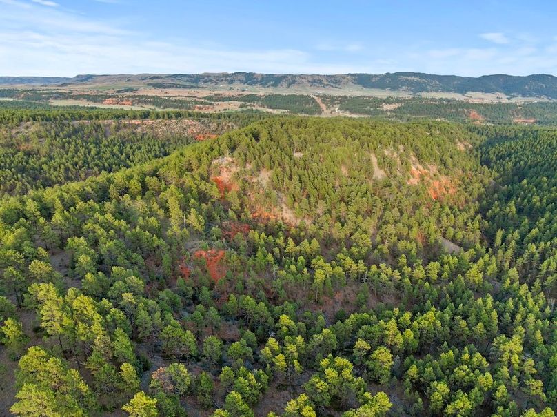 31-DJI_20250507185718_0788_D