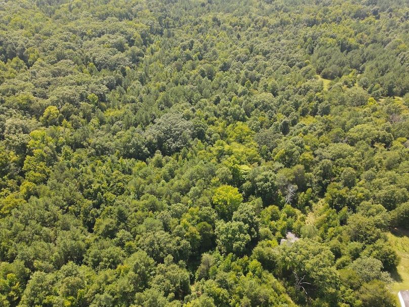 DJI_0222