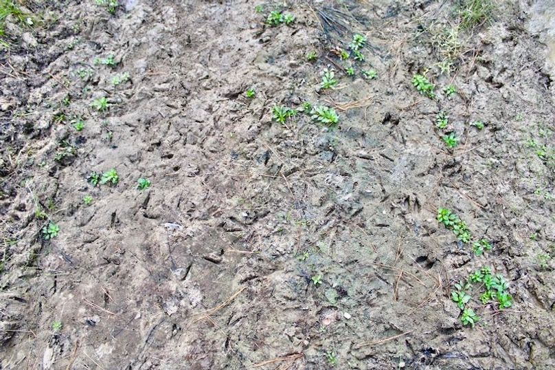 662FCEE4-471F-4A75-AB27-0AEFF7151419_1_105_c