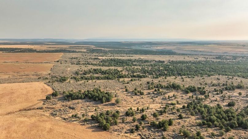 DJI_0550_1