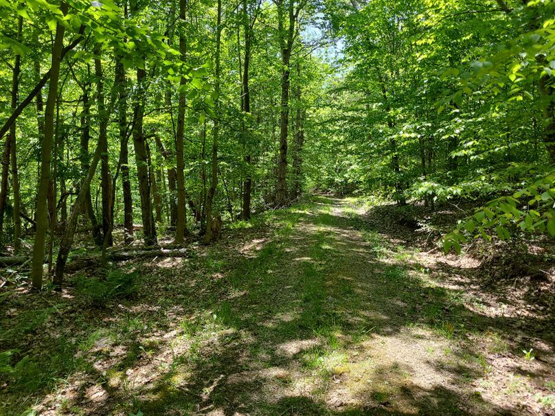 photo_67a253a3-9106-499b-8f17-3ac33e4ebba4