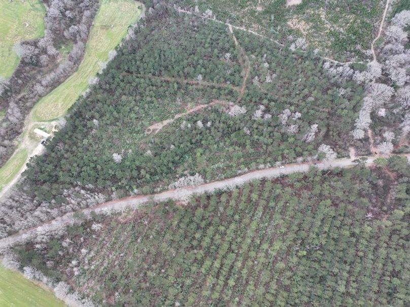 dji_fly_20260217_133046_0120_1771436925353_photo