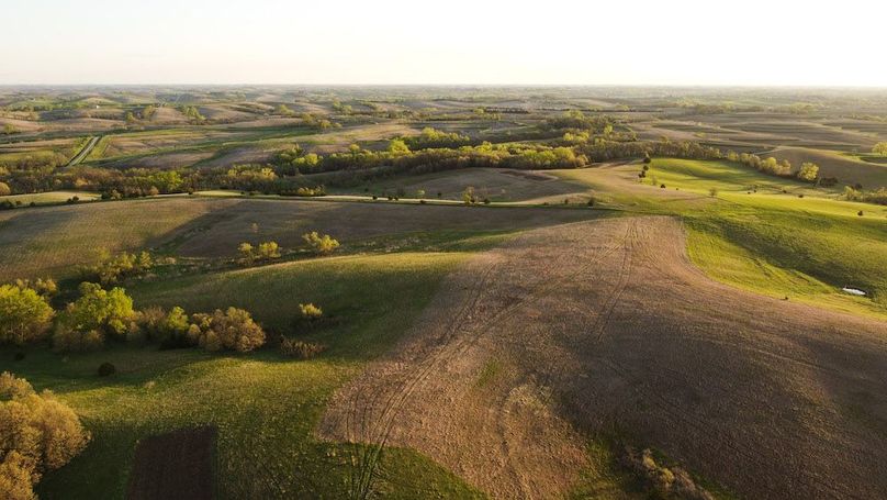 MONTGOMERY CO IA. 156.78_14