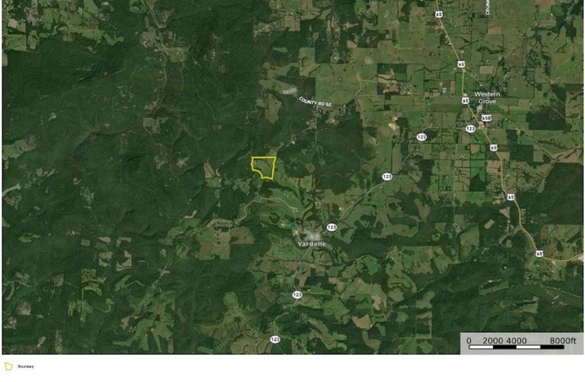 Richardson Google Far