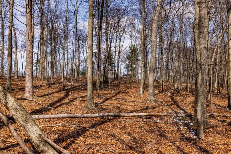 31-web-or-mls-IMG-31