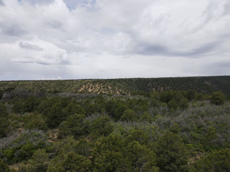 dji_export_1685968246353