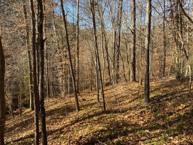 026 a south facing slope near the back of the valley
