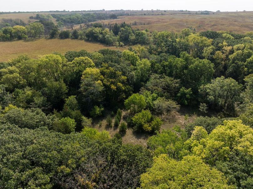 20240913-DJI_20240913110014_0131_D