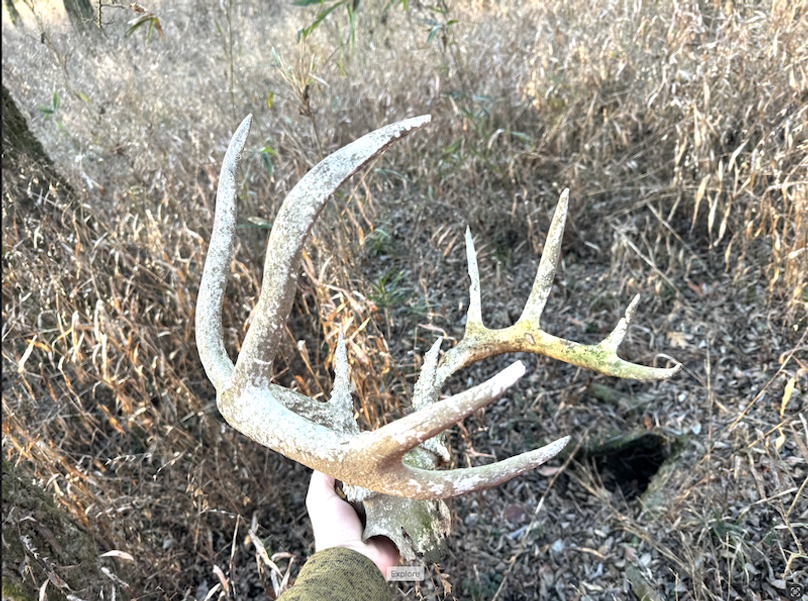 Screenshot 2025-10-03 at 11.16.18 AM