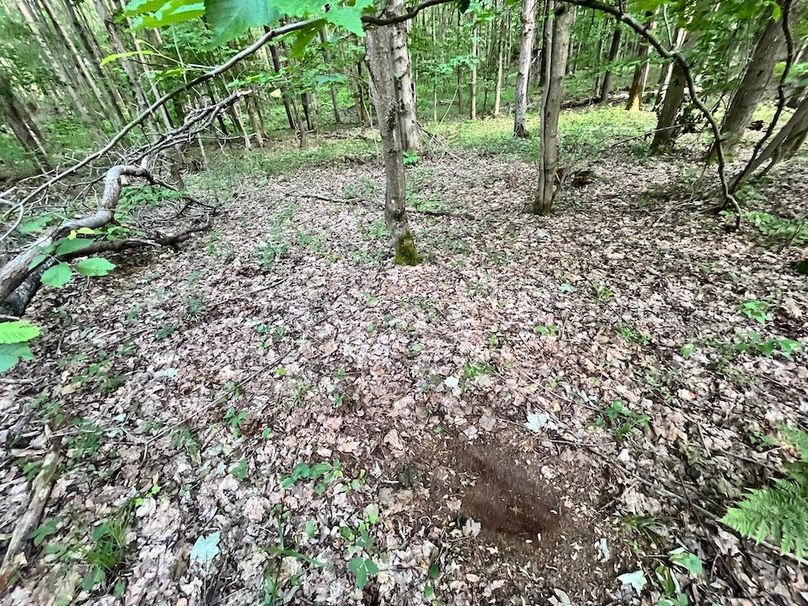 Jefferson_260.3_ Lobach_Photos_55