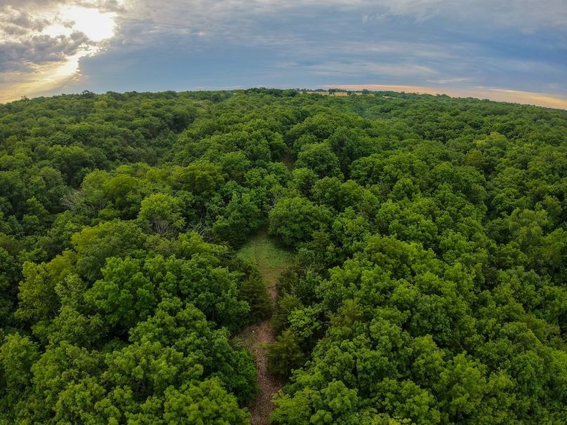 DJI_20250630064426_0261_D