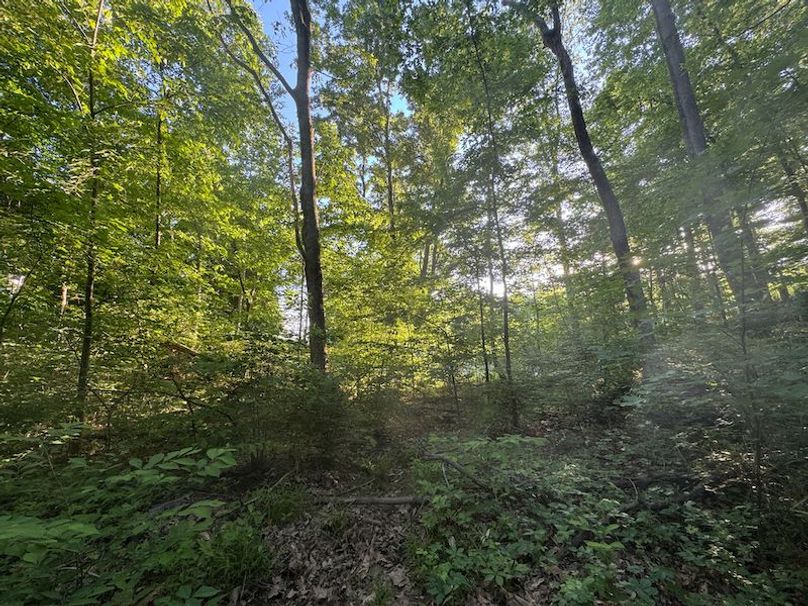 Desoto 8.3 Clement (Final Frontier) -17