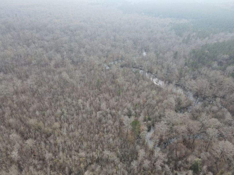 dji_fly_20260109_133046_796_1767987372123_photo